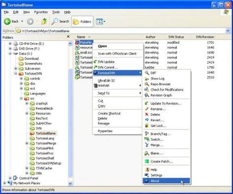 How to use TortoiseSVN .